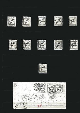 1900. Fauna. Puffin in Flight.