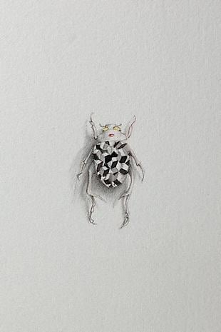 JON SHELTON Oscitant Enterprises, Bugmaker 2007, 09 (detail)