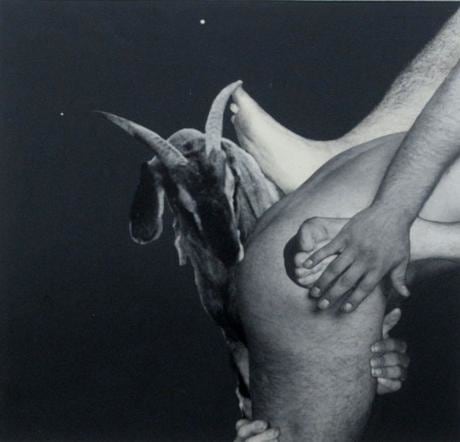 Goat 1972 paper casein motage