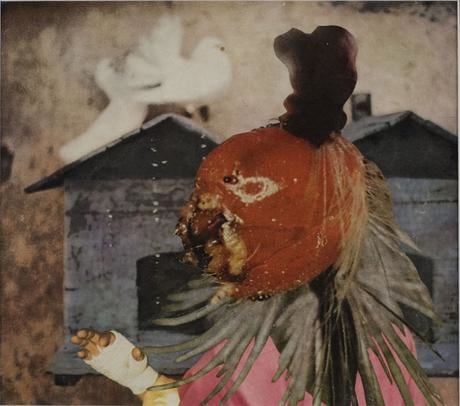 Untitled (Doves and Tomato)