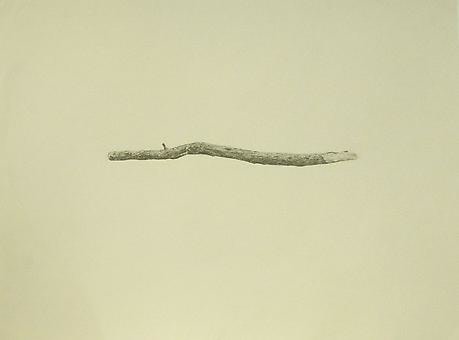 COLTER JACOBSEN Stick