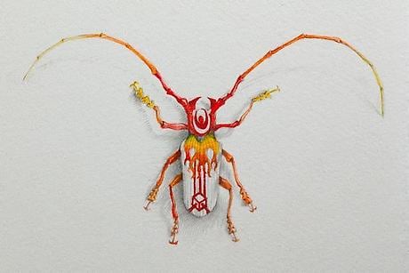 JON SHELTON Oscitant Enterprises, Bugmaker 2007, 12 (detail)