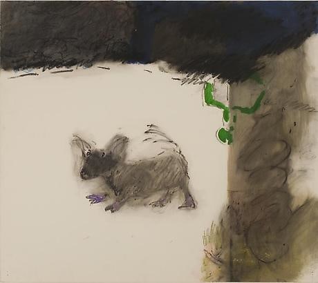 Little Dog After Belfast