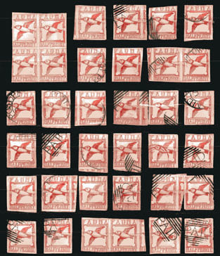 Donald Evans Fauna, 1868