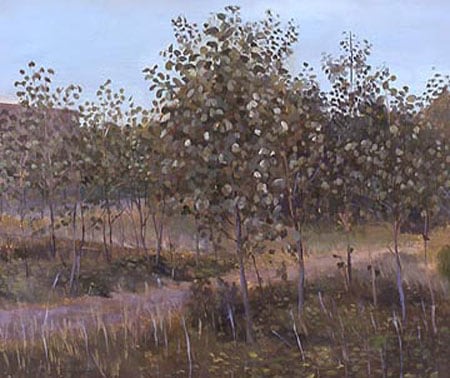 Field by an Overpass #9