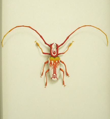 JON SHELTON Oscitant Enterprises, Bugmaker 2007, 12 (detail)