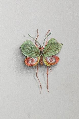 JON SHELTON Oscitant Enterprises, Bugmaker 2007, 08 (detail)