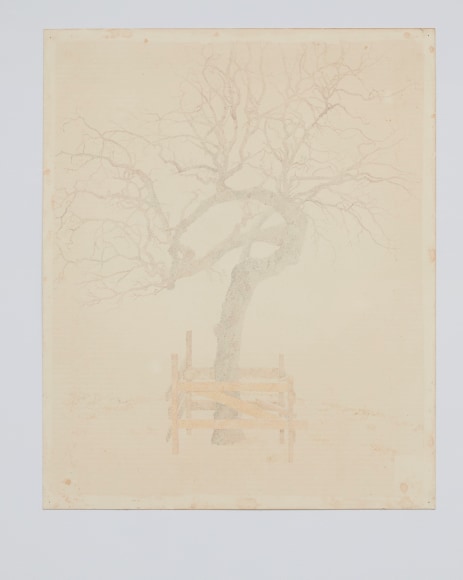 Colter Jacobsen &quot;to build that question as a house&quot; The Only Place by Big Thief (or the Question Tree, for Cajal), 2022