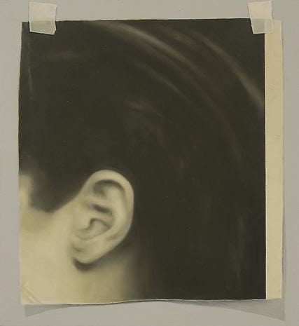 Hush! 2010 oil on wood