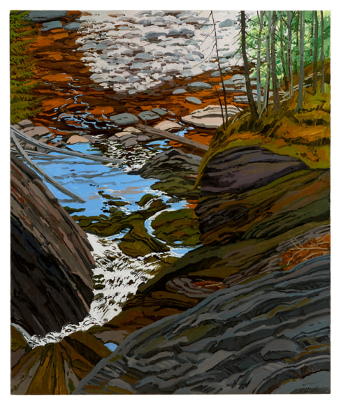 Neil Welliver Bear Hole from Above, 1991