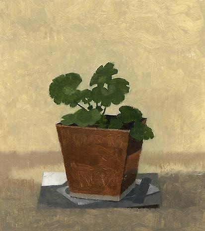 Geranium in a Copper Pot