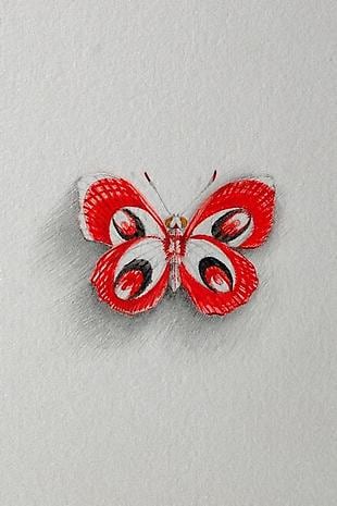 JON SHELTON Oscitant Enterprises, Bugmaker 2007, 06 (detail)