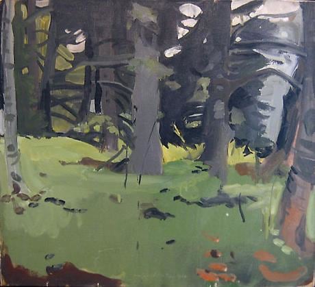 Spruce &amp;amp; Birch