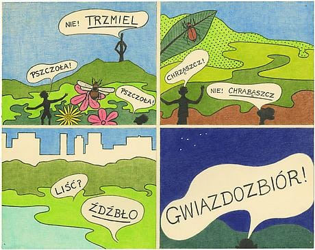 Dwight Ripley Constellation!