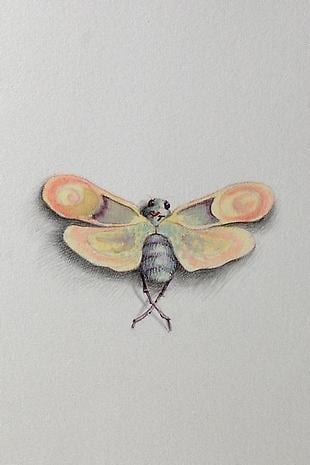 JON SHELTON Oscitant Enterprises, Bugmaker 2007, 05 (detail)