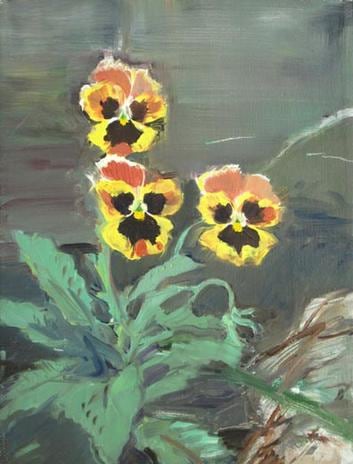 Untitled #247 (Pansies)