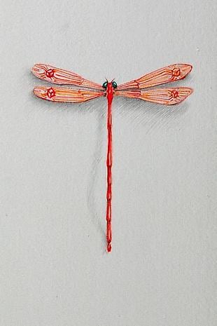 JON SHELTON Oscitant Enterprises, Bugmaker 2007, 03 (detail)