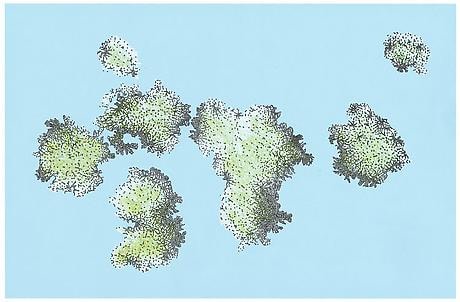Florent Morellet Lichenstein #6 (Archipelago #2)