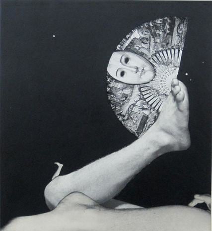 Fan 1973 paper casein mntage