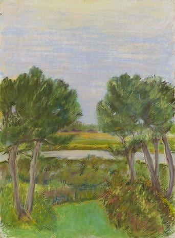 JANE FREILICHER Through the Pines