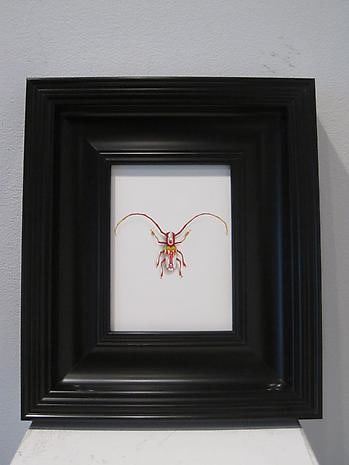 JON SHELTON Oscitant Enterprises, Bugmaker 2007, 12