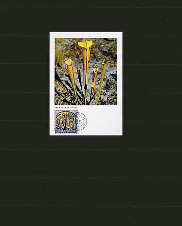 1945 Fauna and Flora. Wildflowers, 