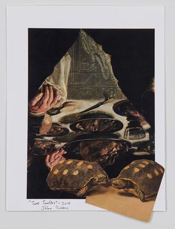John Ashbery Two Turtles