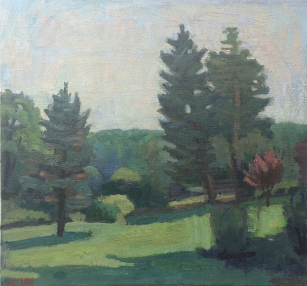 Chatwood Field Sketch, 2015