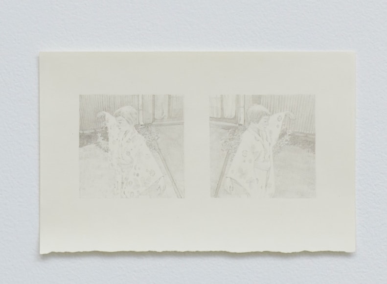 Colter Jacobsen metamorphosis memory (after David Carinno), 2022