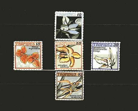 Tropides Islands. Orchids.