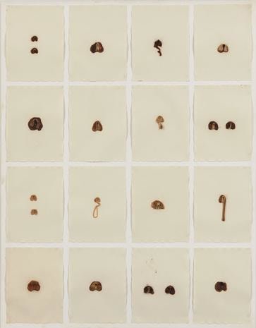 S.O.S. Starification Object Series