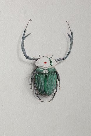 JON SHELTON Oscitant Enterprises, Bugmaker 2007, 15 (detail)