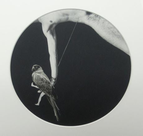 Swing 1973 paper, casein montage