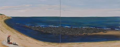 Gray Seals North Truro