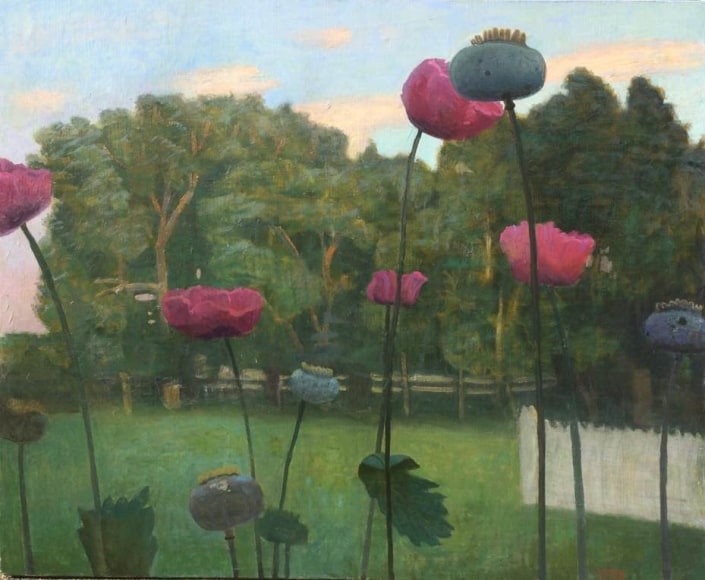 Chatwood Poppies at Dusk, 2016