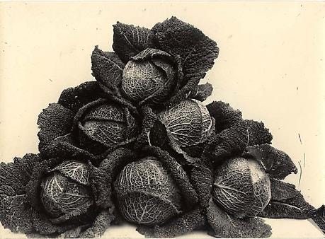 CHARLES JONES Larry&#039;s Perfection