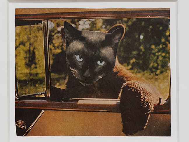 Jean Conner Bearcat, ca 1980