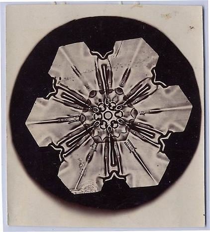 WILSON BENTLEY Snowflake