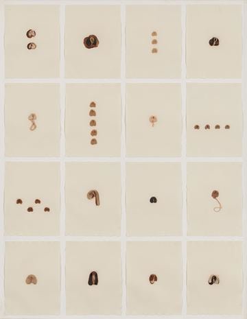 S.O.S. Starification Object Series