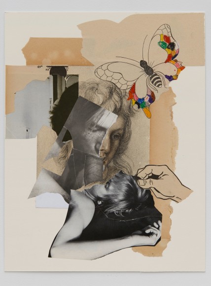 John O&#039;Reilly Butterfly, 2018