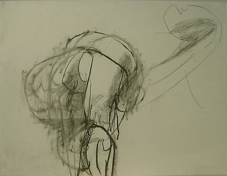 TARA GEER Shadow Boxing