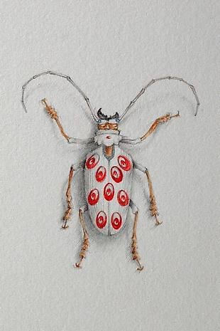 JON SHELTON Oscitant Enterprises, Bugmaker 2007, 18 (detail)