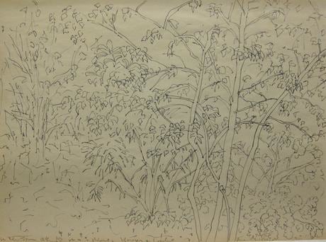 Flowers c.1985 ink drawing on newsprint