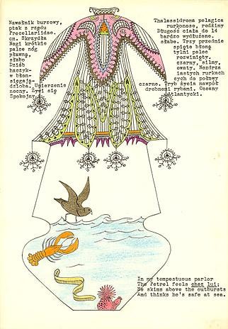 DWIGHT RIPLEY Petrel in a Cage