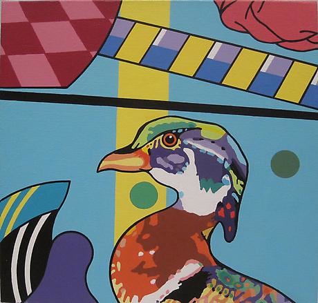 Duck Sanctuary February 2009