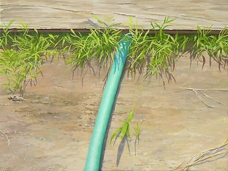 Green Hose 2005