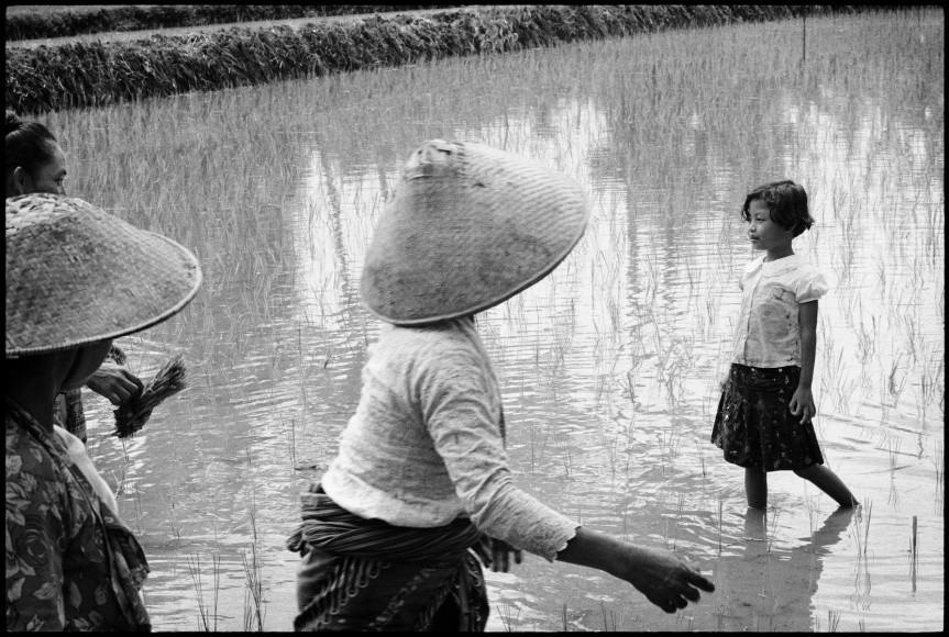 Mandy Vahabzadeh, Untitled, Java, Indonesia, 1995, Archival pigment, Edition of 25, 16&quot; x 20&quot;