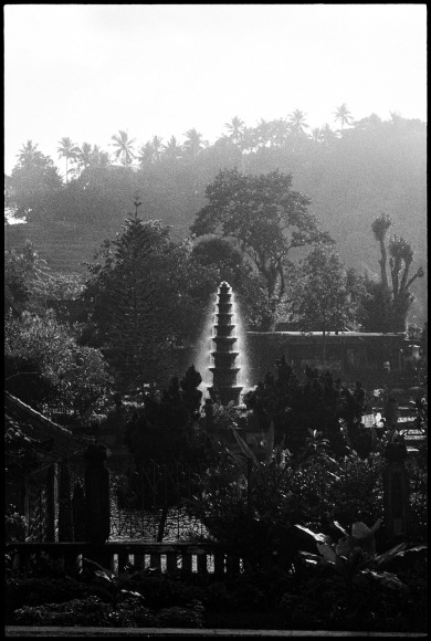 Mandy Vahabzadeh, Untitled (Bali, Indonesia 2023), Archival Pigment, 20&quot; x 16&quot;&nbsp; at Anita Rogers Gallery