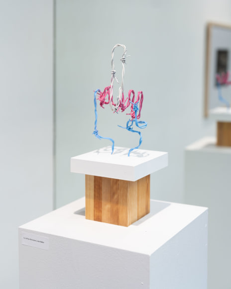 Installation photo of Yishay Garbasz: Women's Art Doesn't End at the Outer Labia (2022) at 494 Greenwich Street, New York.