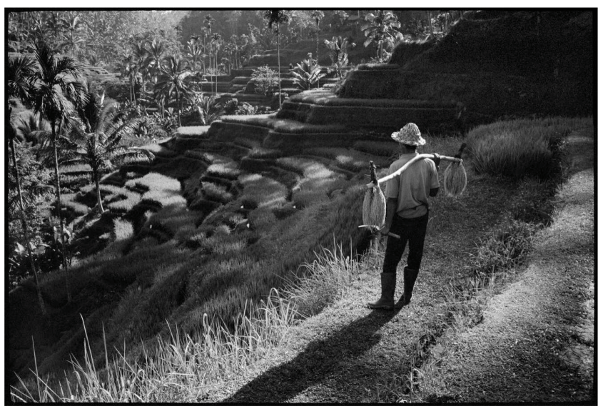 Mandy Vahabzadeh, Untitled, Archival Pigment, 16&quot; x 20&quot;